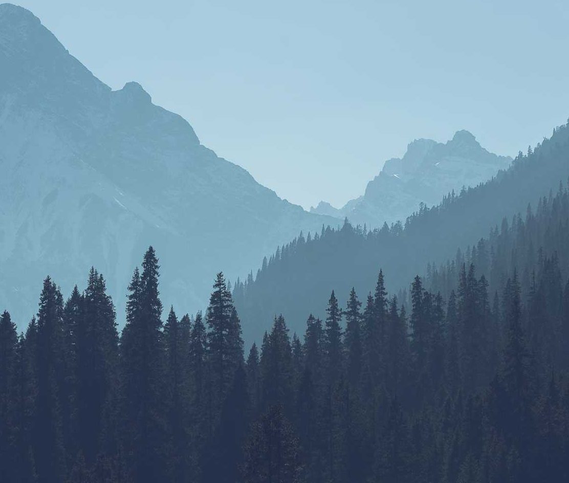 Mona's Monday Musings